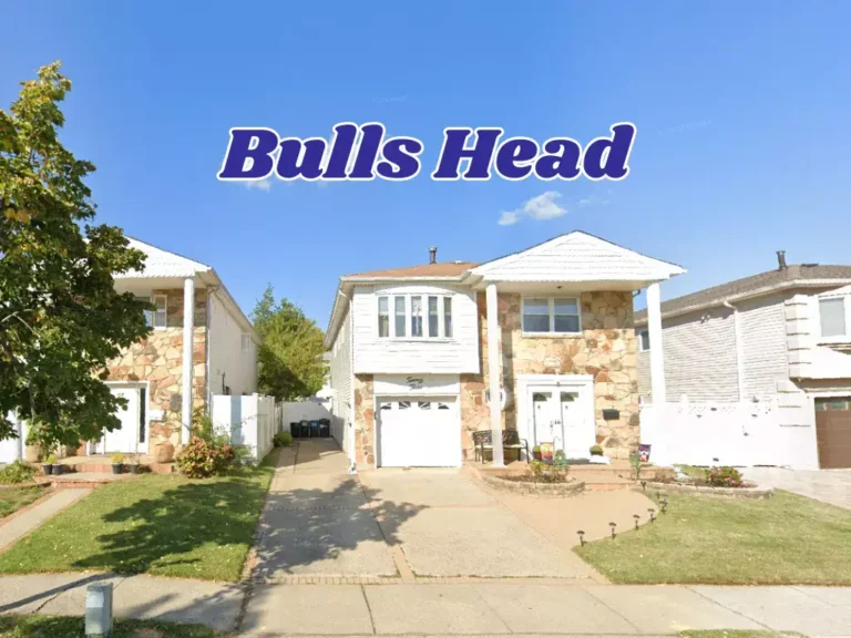 Discover Bulls Head, Staten Island